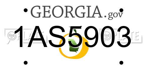 1AS5903 Georgia License Plate