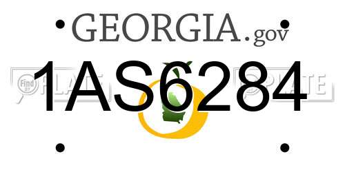 1AS6284 Georgia License Plate