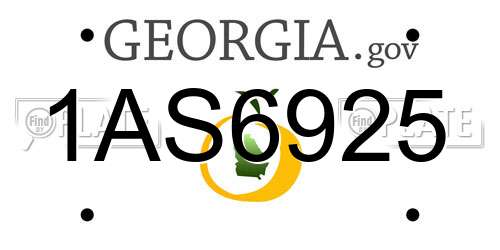 1AS6925 Georgia License Plate