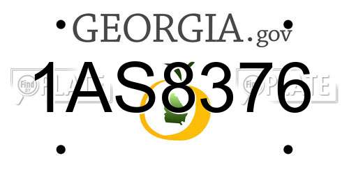 1AS8376 Georgia License Plate