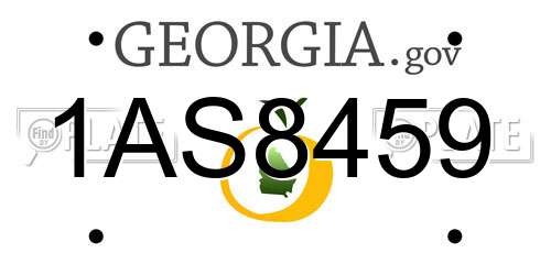 1AS8459 Georgia License Plate