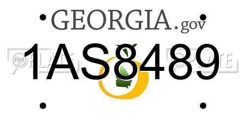 1AS8489 Georgia License Plate