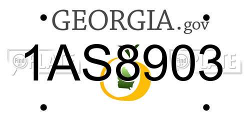 1AS8903 Georgia License Plate