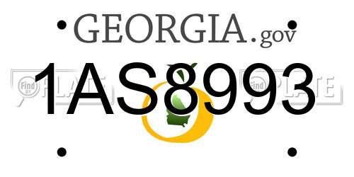 1AS8993 Georgia License Plate