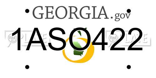 1ASO422 Georgia License Plate