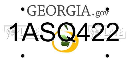 1ASQ422 Georgia License Plate
