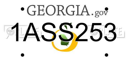 1ASS253 Georgia License Plate