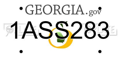 1ASS283 Georgia License Plate