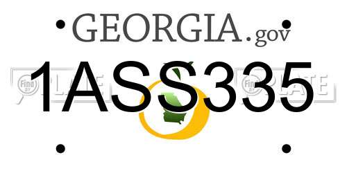 1ASS335 Georgia License Plate