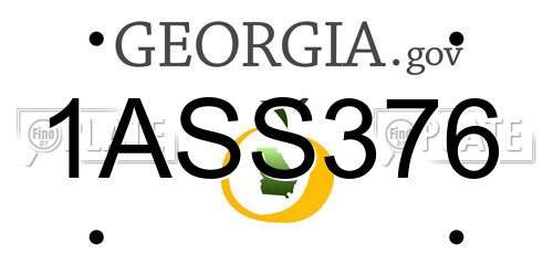 1ASS376 Georgia License Plate