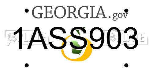 1ASS903 Georgia License Plate