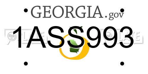 1ASS993 Georgia License Plate
