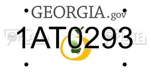 1AT0293 Georgia License Plate