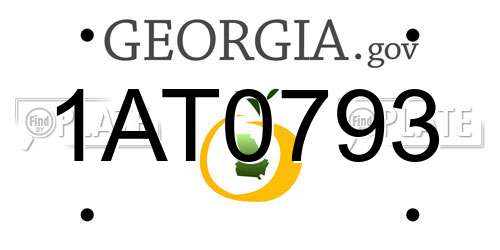 1AT0793 Georgia License Plate