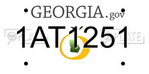 1AT1251 Georgia License Plate