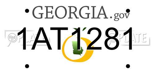 1AT1281 Georgia License Plate