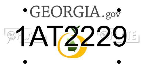 1AT2229 Georgia License Plate