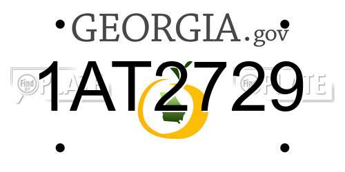 1AT2729 Georgia License Plate