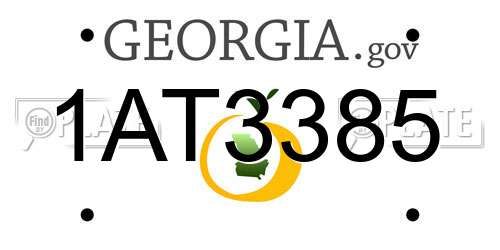 1AT3385 Georgia License Plate