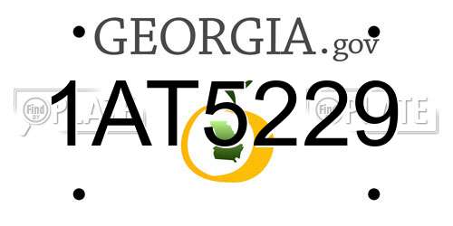 1AT5229 Georgia License Plate
