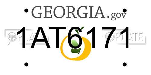 1AT6171 Georgia License Plate