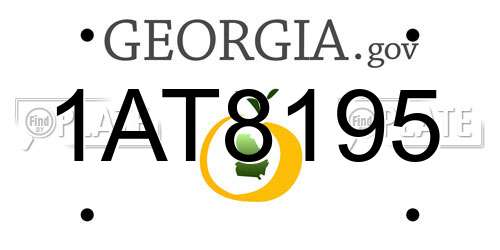 1AT8195 Georgia License Plate