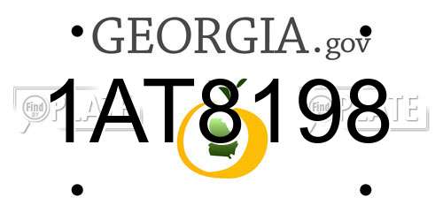 1AT8198 Georgia License Plate
