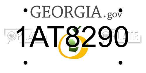 1AT8290 Georgia License Plate