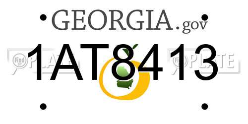 1AT8413 Georgia License Plate