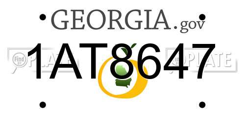 1AT8647 Georgia License Plate