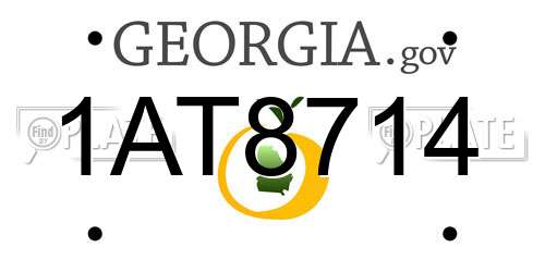 1AT8714 Georgia License Plate