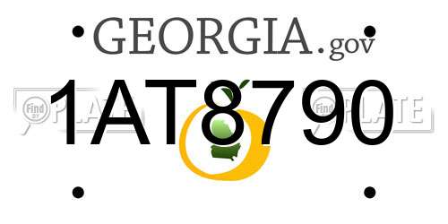 1AT8790 Georgia License Plate