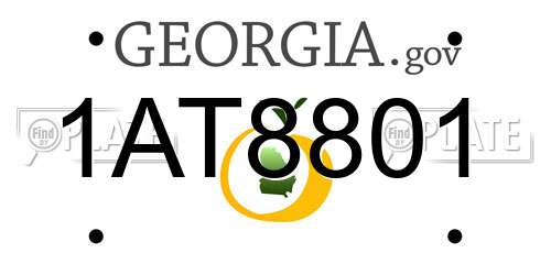 1AT8801 Georgia License Plate