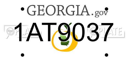 1AT9037 Georgia License Plate