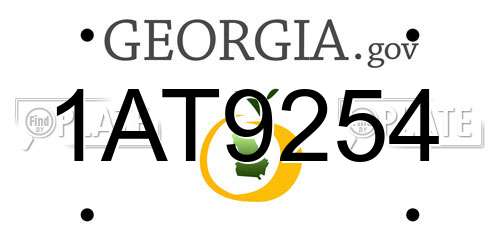 1AT9254 Georgia License Plate