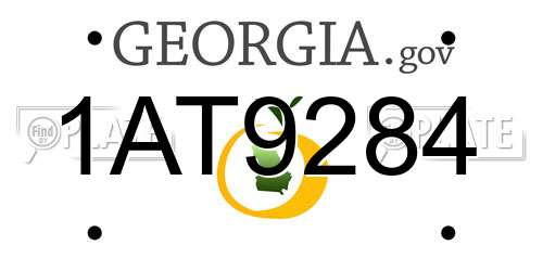 1AT9284 Georgia License Plate