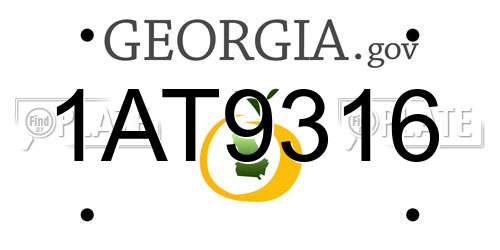 1AT9316 Georgia License Plate