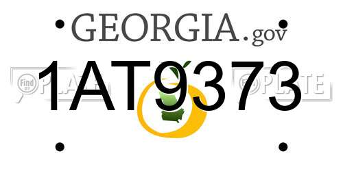 1AT9373 Georgia License Plate