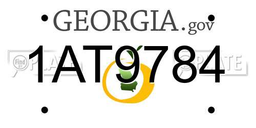 1AT9784 Georgia License Plate