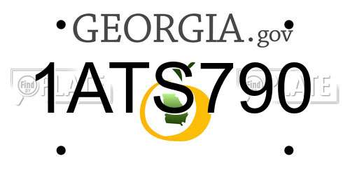 1ATS790 Georgia License Plate