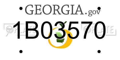 1B03570 Georgia License Plate