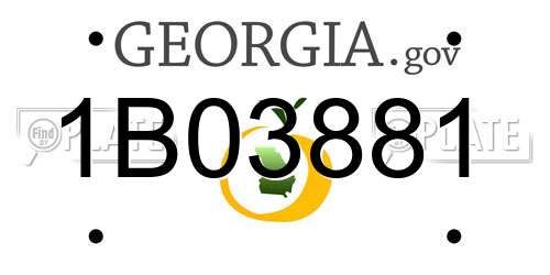 1B03881 Georgia License Plate
