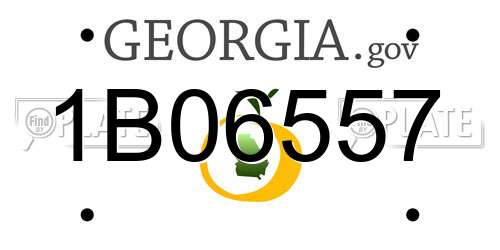 1B06557 Georgia License Plate