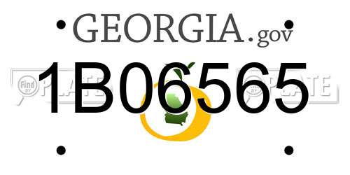 1B06565 Georgia License Plate