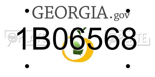 1B06568 Georgia License Plate