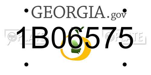 1B06575 Georgia License Plate