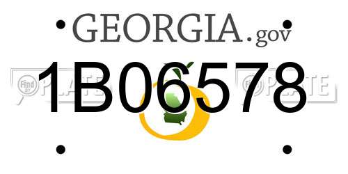 1B06578 Georgia License Plate