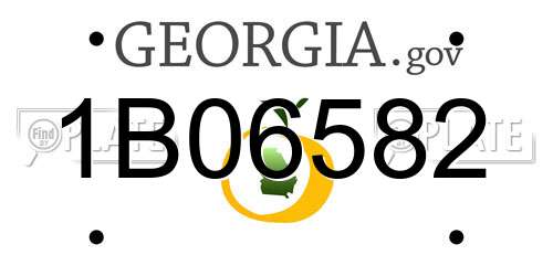 1B06582 Georgia License Plate
