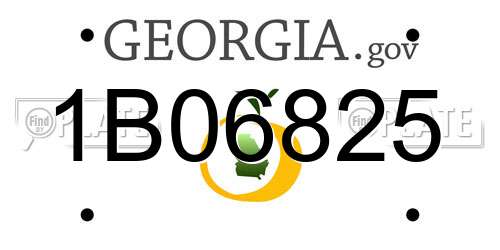 1B06825 Georgia License Plate