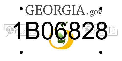 1B06828 Georgia License Plate